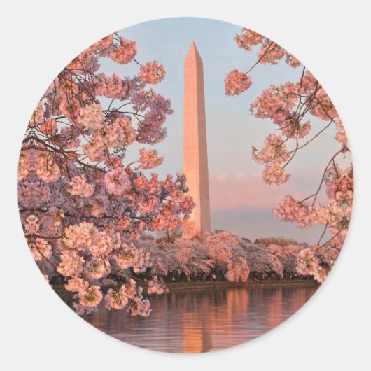 Washington Monument und Kirschblüten Aufkleber (Vorderseite)