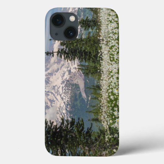 Washington, Mount Rainier National Park 1 Case-Mate iPhone Hülle (Rückseite)