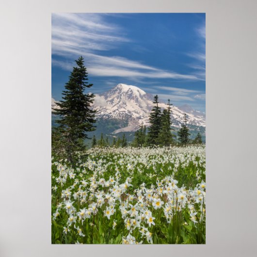 Washington, Mount Rainier National Park 1 Poster (Vorne)