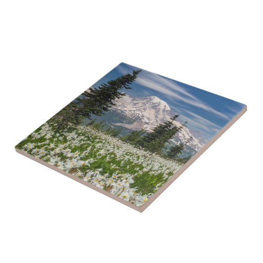 Washington, Mount Rainier Nationalpark 1 Fliese (Seite)