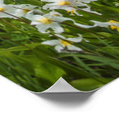 Washington, Mount Rainier Nationalpark 1 Poster (Ecke)