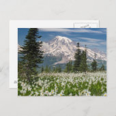 Washington, Mount Rainier Nationalpark 1 Postkarte (Vorne/Hinten)