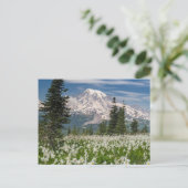 Washington, Mount Rainier Nationalpark 1 Postkarte (Stehend Vorderseite)