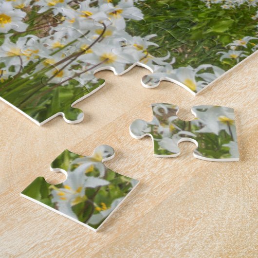 Washington, Mount Rainier Nationalpark 1 Puzzle (Seite)