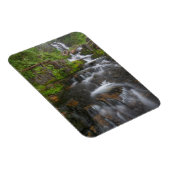 Washington, Mount Rainier Nationalpark 2 Magnet (Rechte Seite)