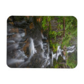 Washington, Mount Rainier Nationalpark 2 Magnet (Horizontal)