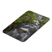 Washington, Mount Rainier Nationalpark 2 Magnet (Linke Seite)