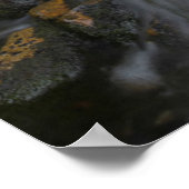 Washington, Mount Rainier Nationalpark 2 Poster (Ecke)