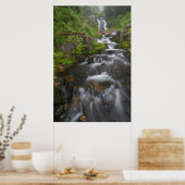 Washington, Mount Rainier Nationalpark 2 Poster (Küche)