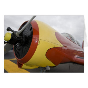 Washington, Olympia, Militärairshow.