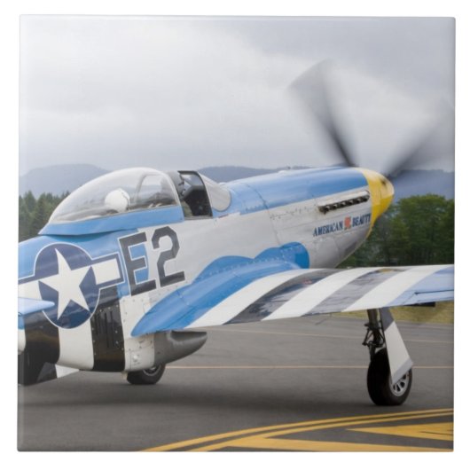 Washington, Olympia, Militärairshow. Fliese (Vorderseite)