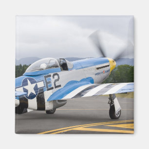 Washington, Olympia, Militärairshow. Magnet