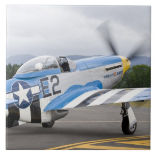 Washington, Olympia,  Militärflugschau. Fliese