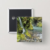 Washington, Olympic-Nationalpark, Saisonal Button (Vorne & Hinten)