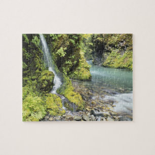Washington, Olympic-Nationalpark, Saisonal Puzzle
