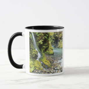 Washington, Olympic-Nationalpark, Saisonal Tasse