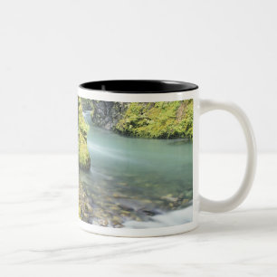 Washington, Olympic-Nationalpark, Saisonal Zweifarbige Tasse