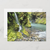 Washington, Olympischer Nationalpark, Saison Postkarte (Vorne/Hinten)