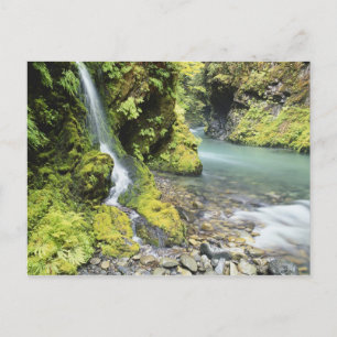 Washington, Olympischer Nationalpark, Saison Postkarte