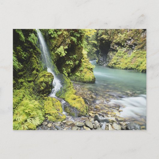 Washington, Olympischer Nationalpark, Saison Postkarte (Vorderseite)