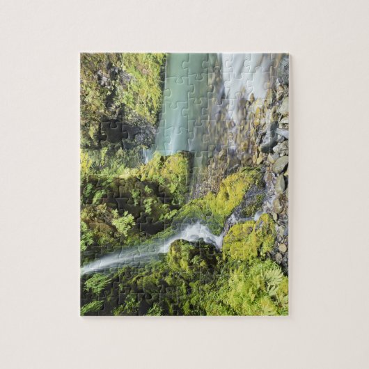 Washington, Olympischer Nationalpark, Saison Puzzle (Vertikal)