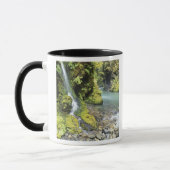 Washington, Olympischer Nationalpark, Saison Tasse (Links)