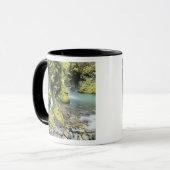 Washington, Olympischer Nationalpark, Saison Tasse (Vorderseite Links)