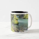 Washington, Olympischer Nationalpark, Saison Zweifarbige Tasse (VorderseiteRechts)