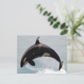 Washington Orca Whale Postkarte (Stehend Vorderseite)