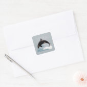 Washington Orca Whale Quadratischer Aufkleber (Umschlag)