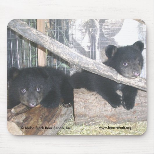 Washington paart Mousepad 2009 (Vorne)