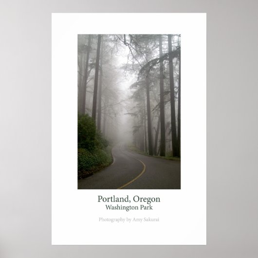 Washington Park Poster (Vorne)