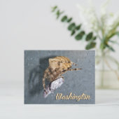 Washington Postcard, Gea Spider Postkarte (Stehend Vorderseite)