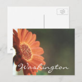 Washington Postcard Orange Blume Template Postkarte (Vorne/Hinten)