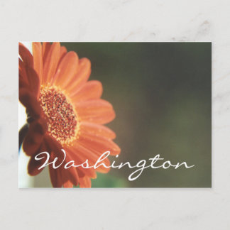 Washington Postcard Orange Blume Template Postkarte