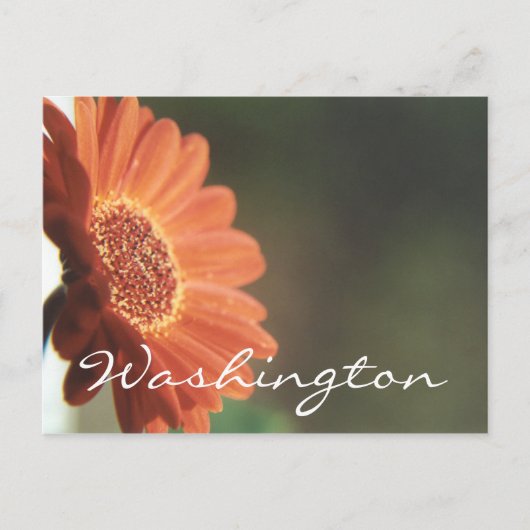 Washington Postcard Orange Blume Template Postkarte (Vorderseite)