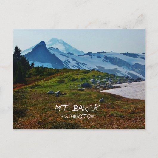 Washington Postcard Postkarte (Vorderseite)