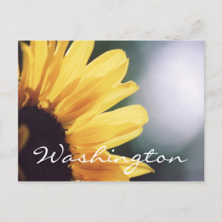 Washington Postcard Sunflower Template Postkarte