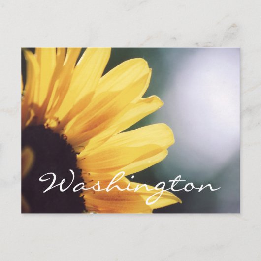 Washington Postcard Sunflower Template Postkarte (Vorderseite)
