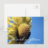 Washington Postcard Sunflower Template Postkarte (Vorne/Hinten)