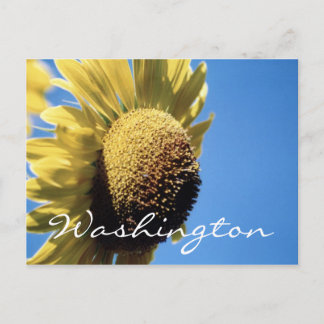 Washington Postcard Sunflower Template Postkarte