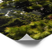 Washington Poster (Ecke)