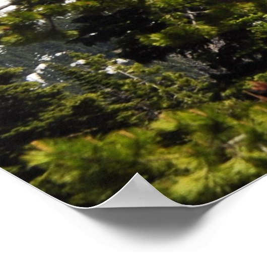 Washington Poster (Ecke)