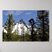 Washington Poster (Vorne)