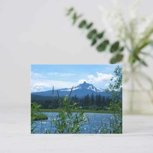 Washington Postkarte (Stehend Vorderseite)