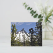 Washington Postkarte (Stehend Vorderseite)