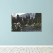 Washington - Rainier National Park, Shooting Sta Leinwanddruck (Insitu (Holzboden))