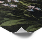 Washington - Rainier National Park, Shooting Sta Poster (Ecke)