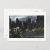 Washington - Rainier National Park, Shooting Sta Postkarte (Vorne/Hinten)