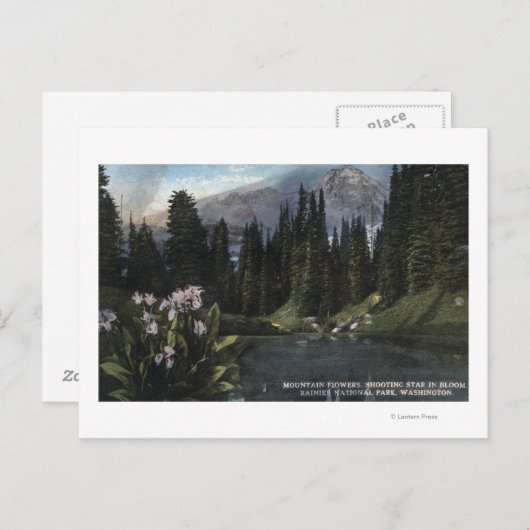 Washington - Rainier National Park, Shooting Sta Postkarte (Vorne/Hinten)